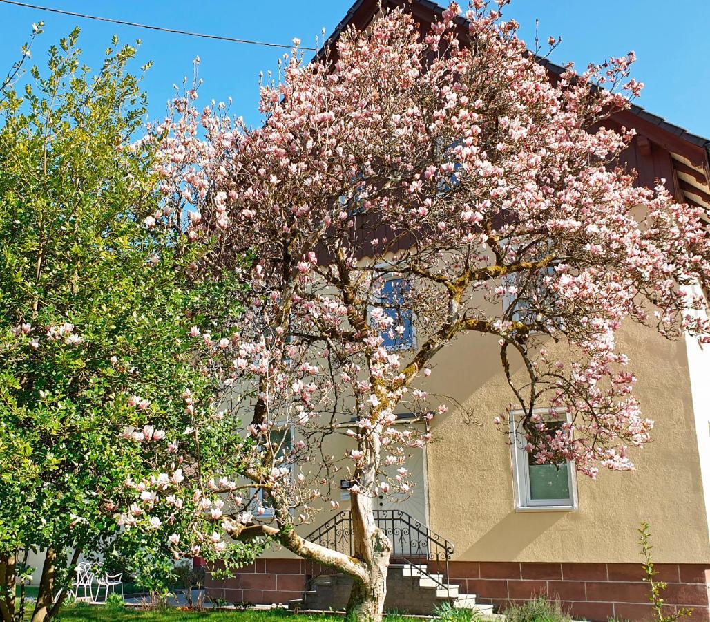 Liebevoll Gaestewohnungen Alpirsbach Extérieur photo